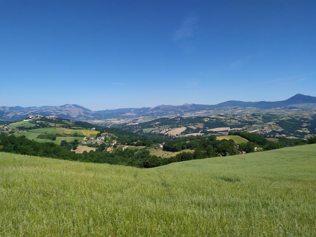 All Inbasilicata Bed & Breakfast Baragiano Exterior foto